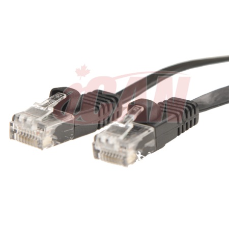 Câble plat iCAN Networking LAN Cat6 32AWG UTP - 35 pieds