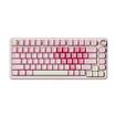 Pink + Cocoa Cream V2 Linear Switch