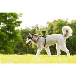 SONY AKADM1 Dog Mount for Action Cam