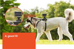 SONY AKADM1 Dog Mount for Action Cam