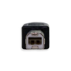 iCAN USB 2.0 Type-A Male to Type-B Male Cable, 3ft