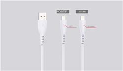 Câble USB iCAN de type C de 4 pieds, avec capteur et lumière DEL, blanc