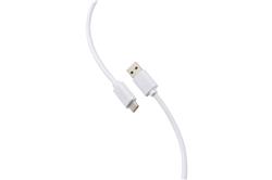 Câble iCAN USB 2.0 Type-A Mâle vers Type-C Mâle, 15W, 6,6 pieds