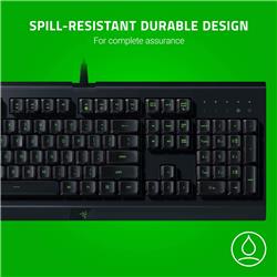 RAZER (Cynosa Lite) - Clavier de jeu essentiel anglais US(Open Box)