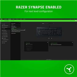RAZER (Cynosa Lite) - Clavier de jeu essentiel anglais US(Open Box)