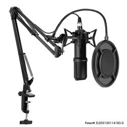 YANMAI Q10 Exclusive Design Patent Microphone(Open Box)