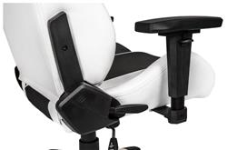 AKRacing Arctica Series Gaming Chair