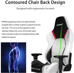 AKRacing Arctica Series Gaming Chair