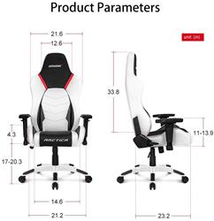 AKRacing Arctica Series Gaming Chair
