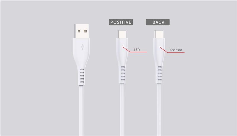 Câble USB iCAN de type C de 4 pieds, avec capteur et lumière DEL, blanc