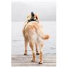 SONY AKADM1 Dog Mount for Action Cam