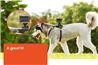 SONY AKADM1 Dog Mount for Action Cam
