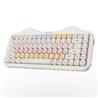 Clavier mécanique sans fil YUNZII C75 75%