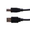iCAN USB 2.0 Type-A Male to Type-B Male Cable, 3ft