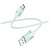 Hoco "U132 Beijing" câble de données de chargement USB Type-C, 1,2 m (4 pi), vert