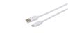 Câble iCAN USB 2.0 Type-A Mâle vers Type-C Mâle, 15W, 6,6 pieds