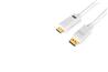 iCAN 28AWG 1080p DisplayPort to HDMI Cable, M/M, Gold Plated, 15FT, White