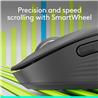 Souris sans fil LOGITECH CORE Signature M650 - Graphite (910-006250)(Open Box)
