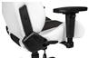 AKRacing Arctica Series Gaming Chair