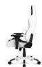 AKRacing Arctica Series Gaming Chair