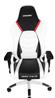 AKRacing Arctica Series Gaming Chair